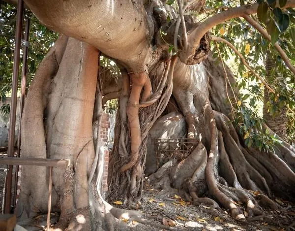 Casa Porta Della Maddalena Διαμέρισμα *